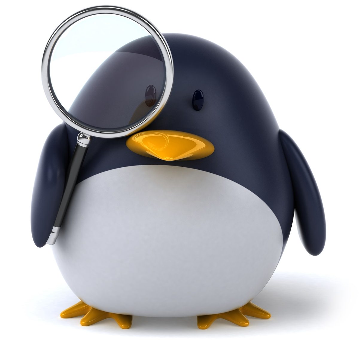 Installing the program in Linux distributions