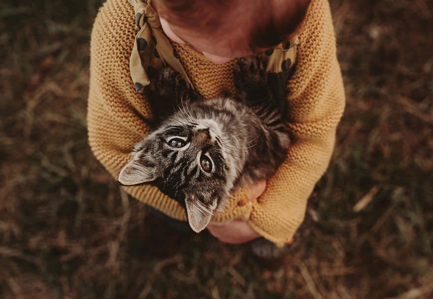 Interaction between children and cats / Andrea Martin