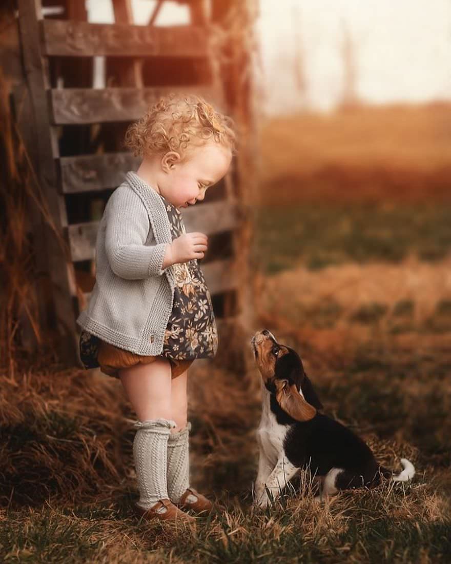 Interaction of children and farm dog animals / Andrea Martin
