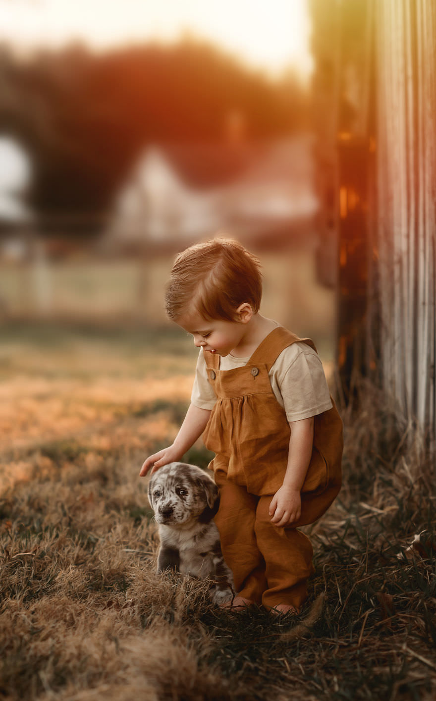 Interaction of children and farm dog animals / Andrea Martin