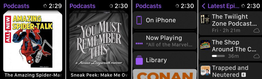 Listen to podcasts on Apple Watch