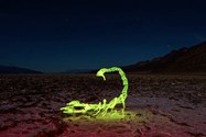 Painting with light and creating stop motion
