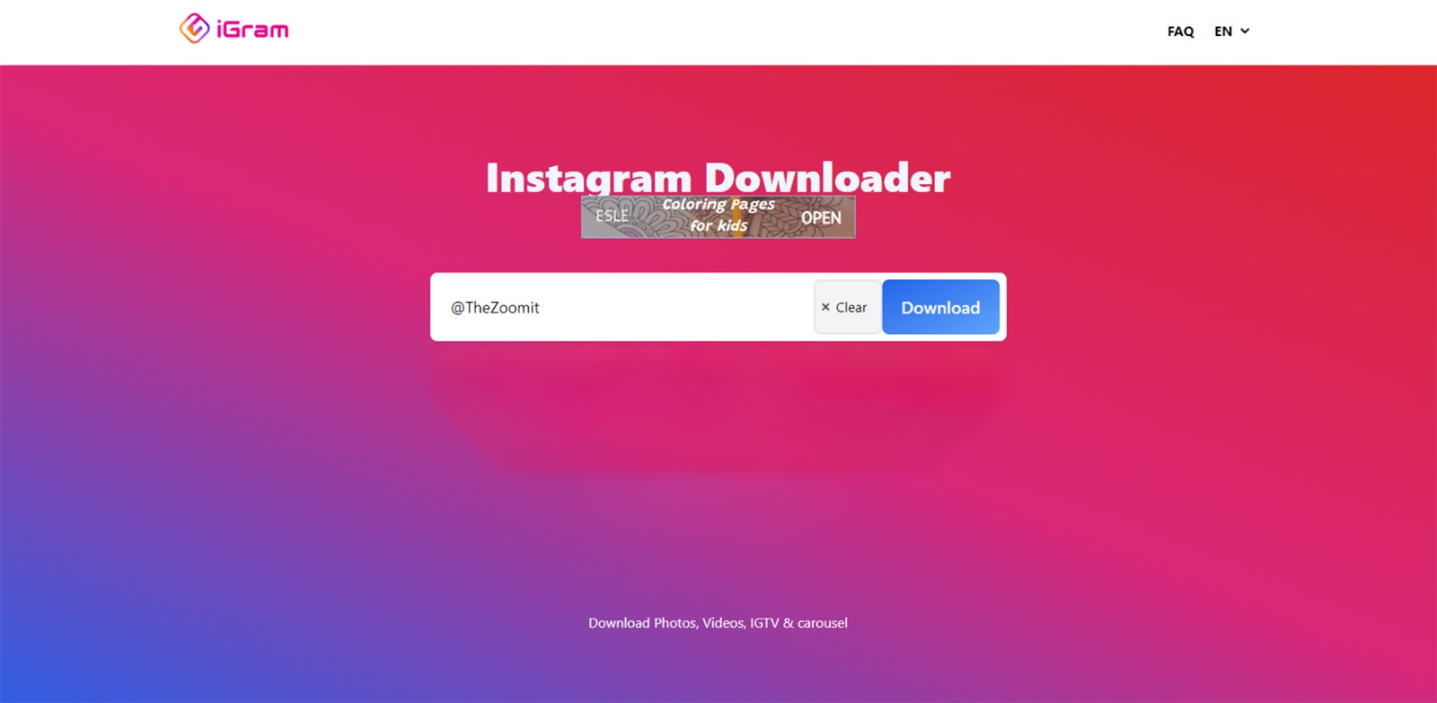 Screenshot of Instagram downloader site