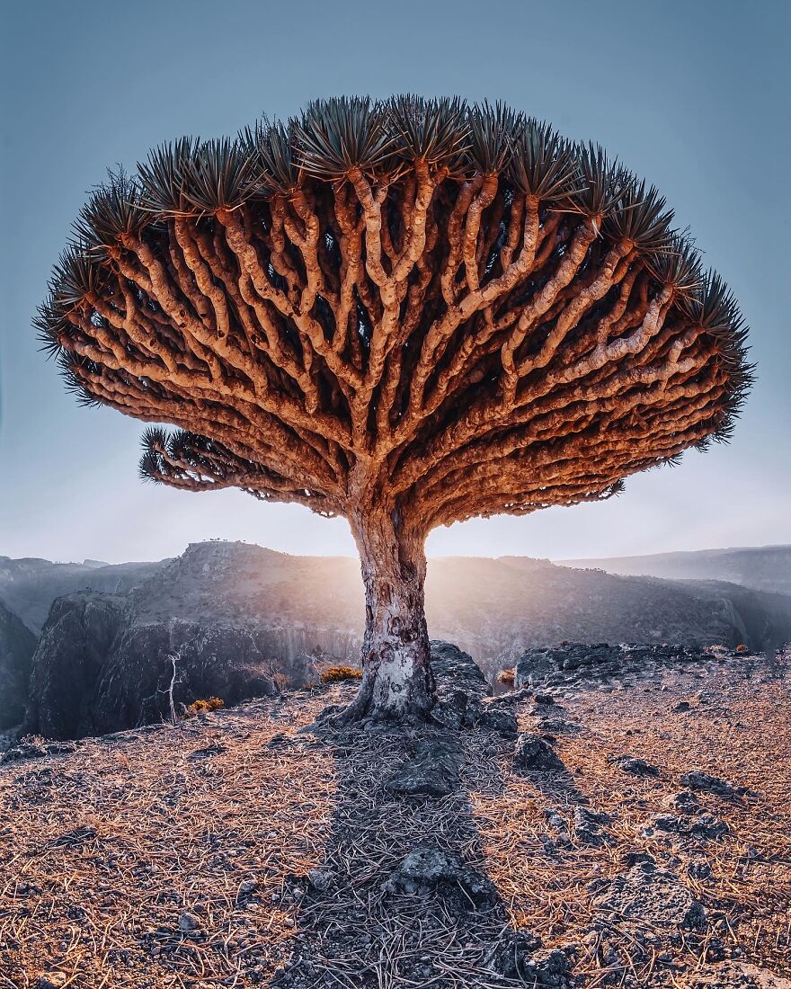 Socotra Islands in Yemen