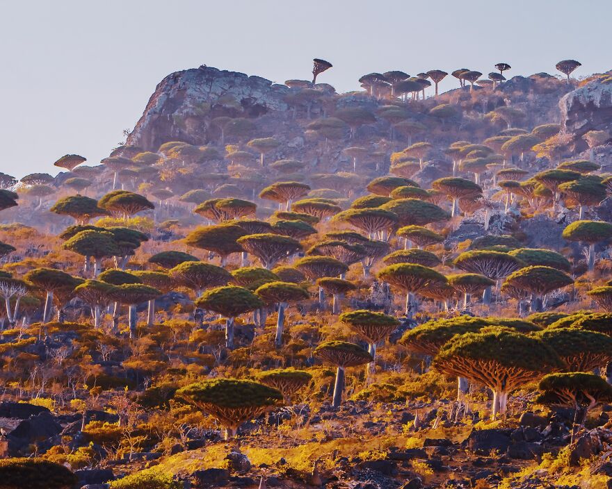 Socotra Islands in Yemen