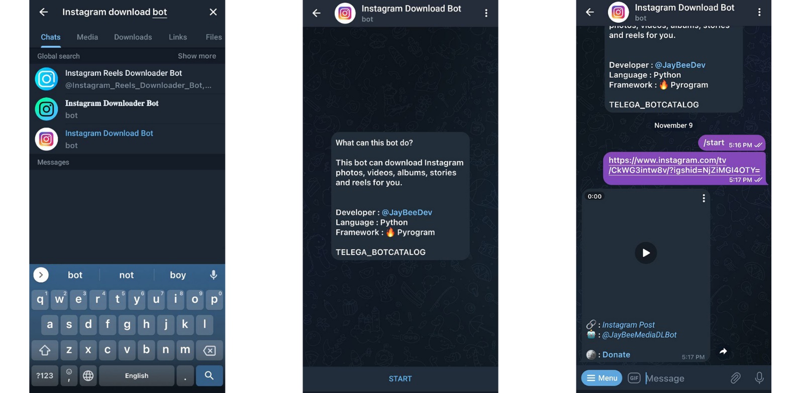 Step-by-step tutorial for downloading Instagram video by Telegram bot