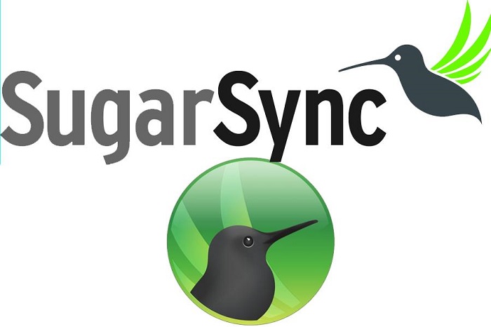 SugarSynce - 1