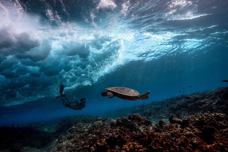 Underwater photo