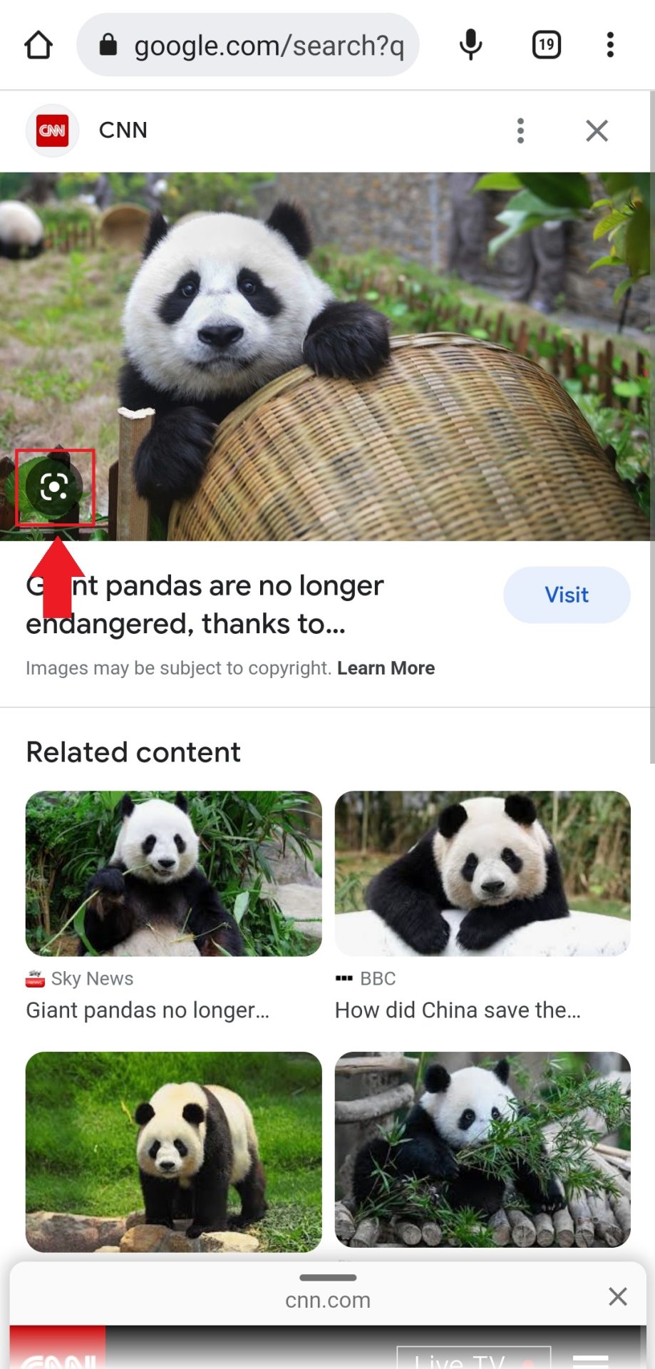 1- Photo search with phone in Google search results