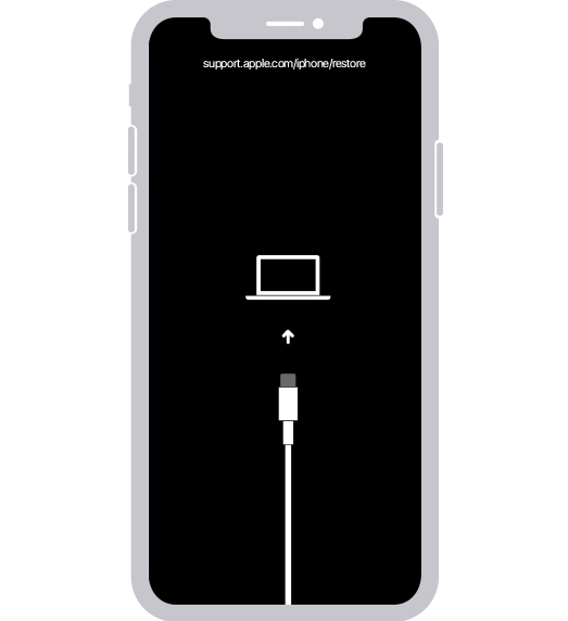 Apple iPhone X Recovery Mode