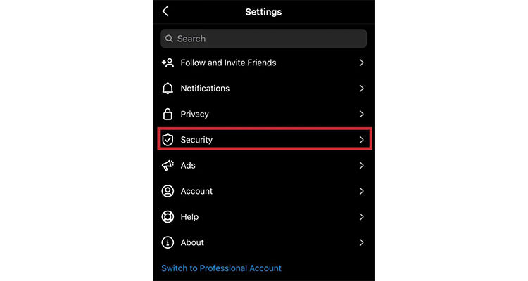 Instagram security settings menu