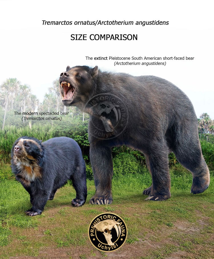 Size differences between prehistoric animals and their modern descendants