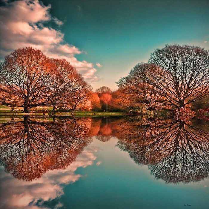 Stunning reflections