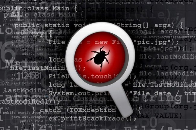 Attempts to identify bugs in program codes by software companies and developers