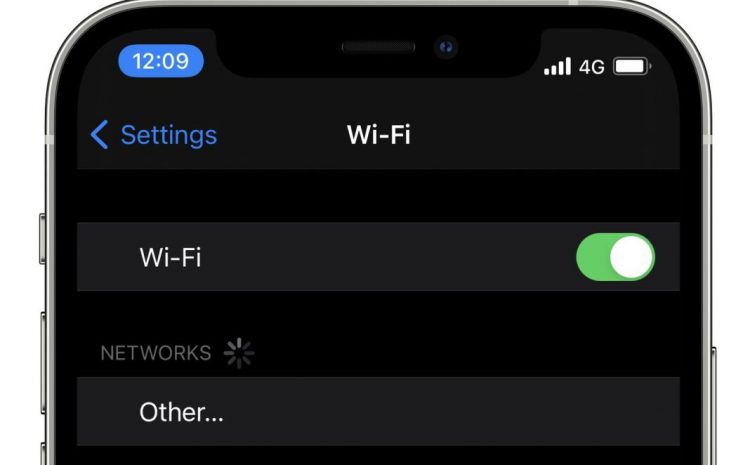 How To Find WIFI Password On iPhone?