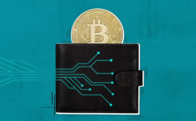 Introducing The Most Popular Cryptocurrency Wallets In 2023