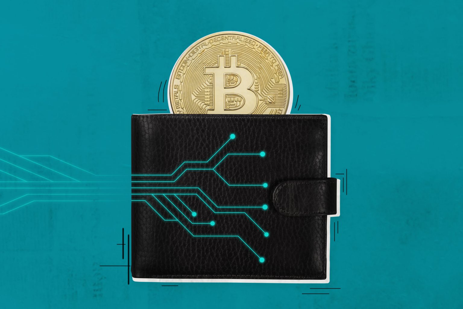 Introducing The Most Popular Cryptocurrency Wallets In 2023