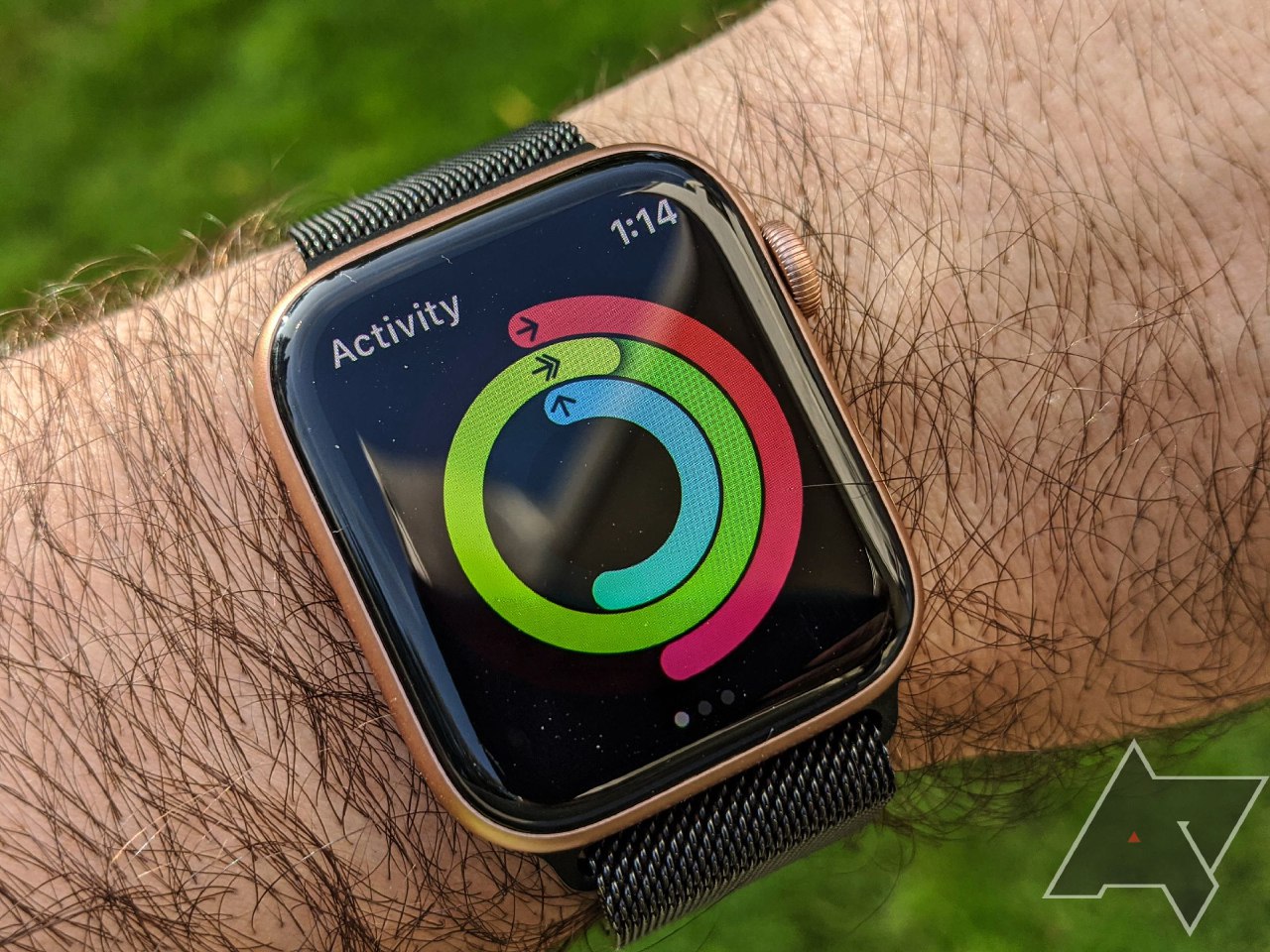 How To Change And Adjust The Apple Watch Fitness App