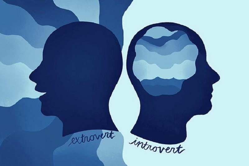 Are you an introvert or an extrovert? What is the role of these characteristics in your success?