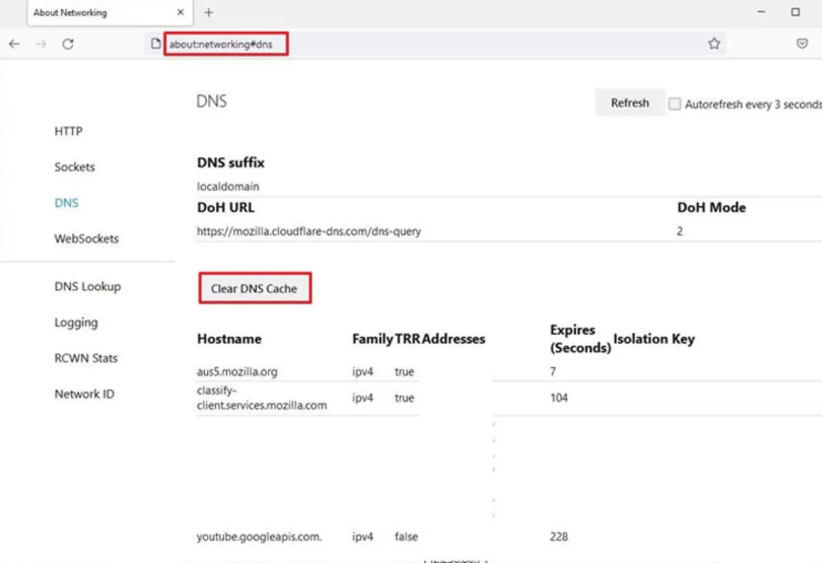 DNS-Cache