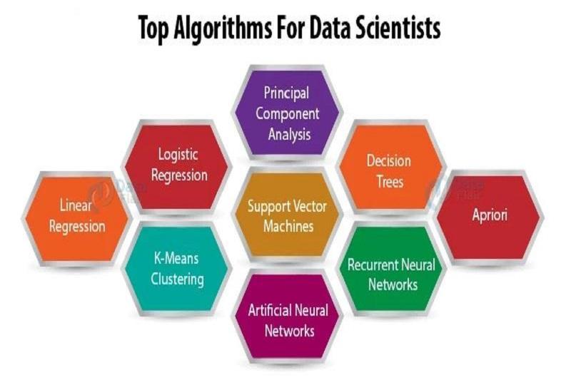 11 Most Common Algorithms Used By Data Scientists