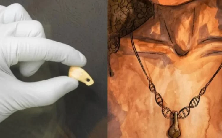Extraction Of Ancient Human DNA From A 20,000-Year-Old Necklace