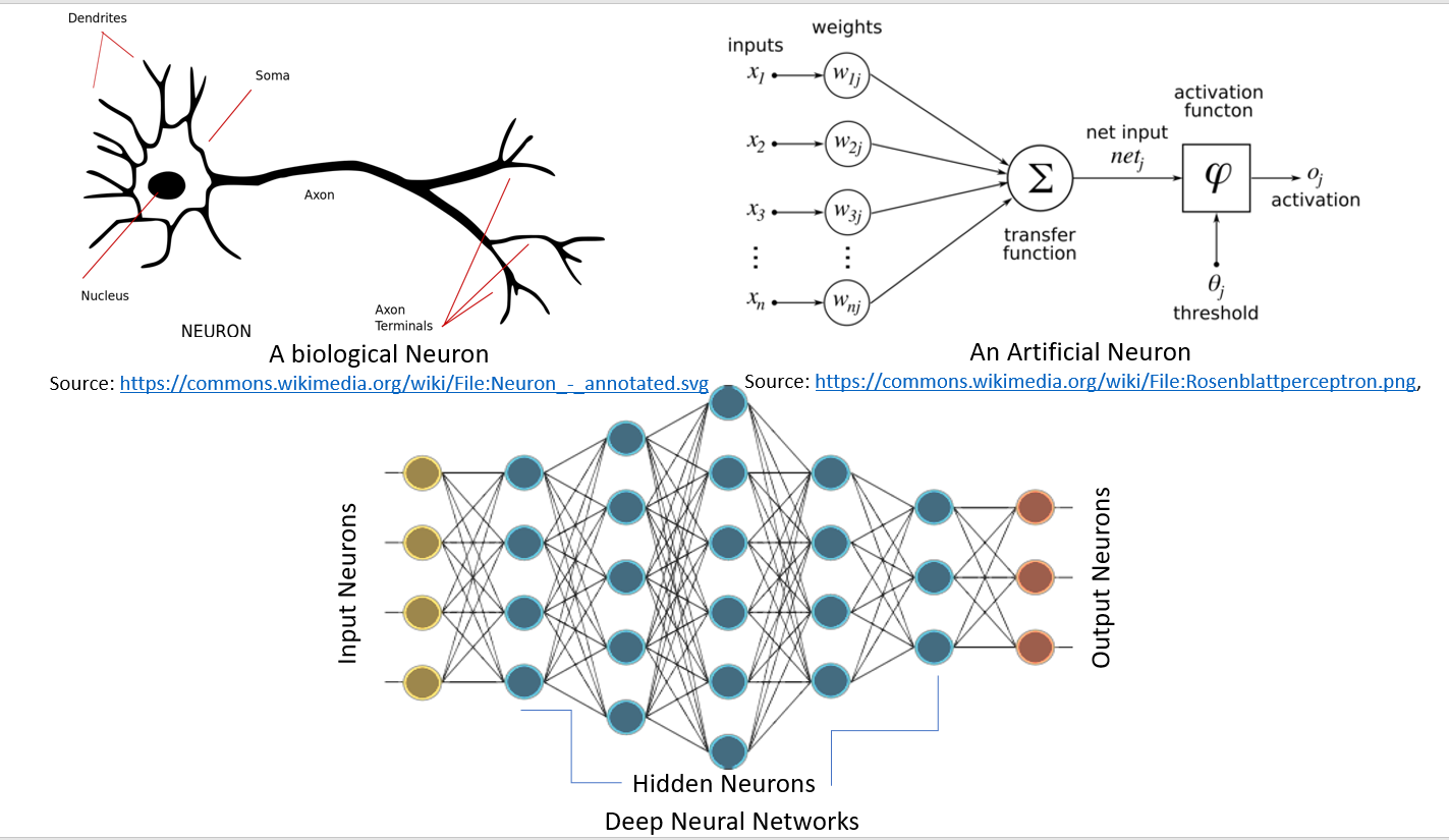 Биологическая нейронная сеть. Формирование нейронных связей. Artificial Neural Network. Нейронные связи схема.