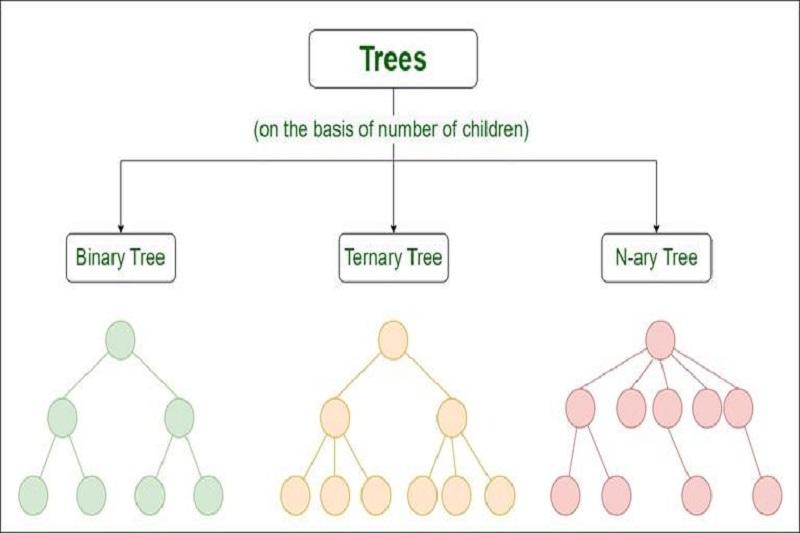 What Is A Tree In A Data Structure And How Is It Navigated?