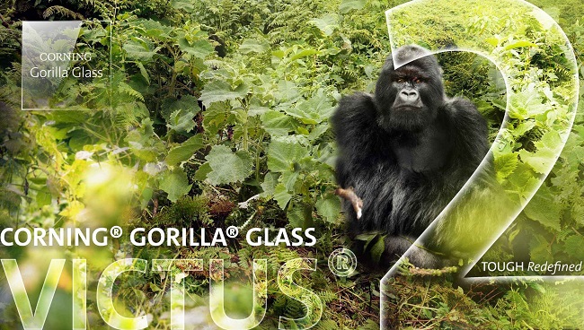 Comparison of generations of gorillas and their differences
