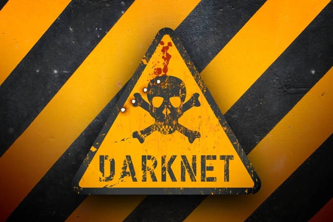 Learning how to enter the dark web with a mobile phone