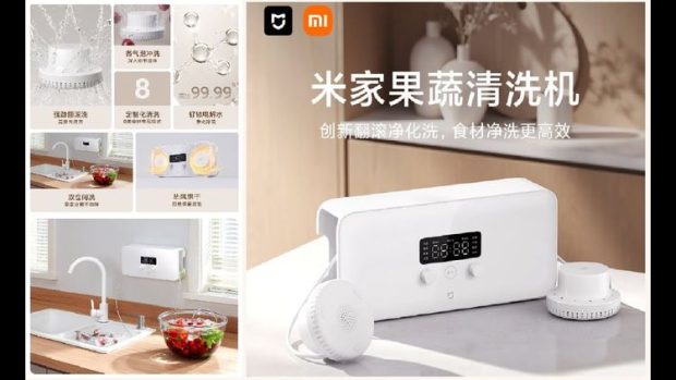 Mijia Fruit and Vegetable Cleaning Machine