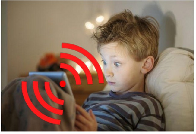 Wi-Fi and the child's brain
