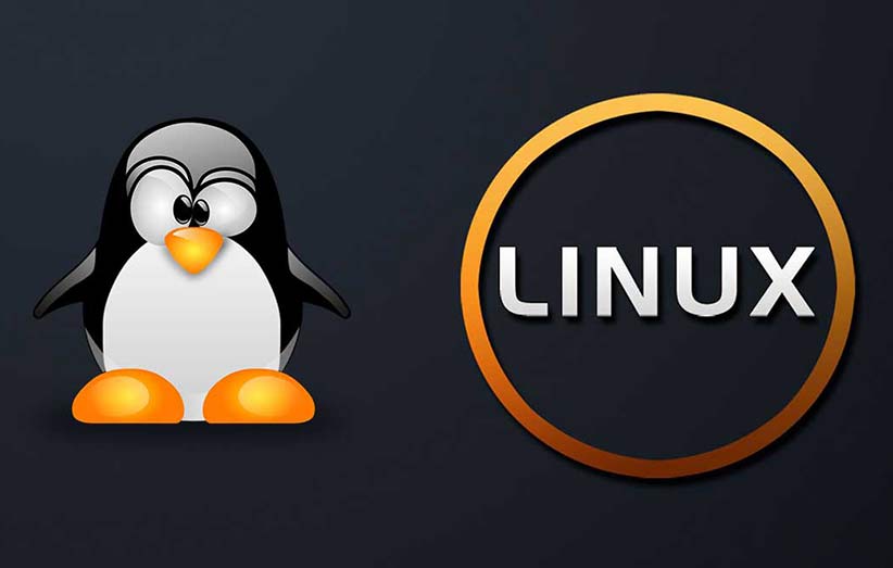 Windows ve Linux sunucusu arasındaki fark