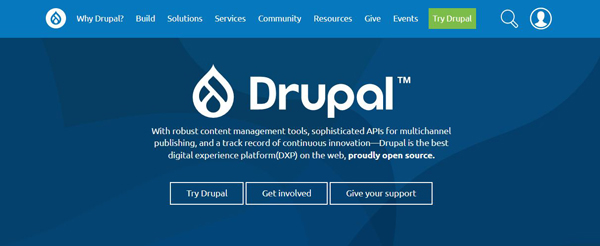 Screenshot from Drupal site