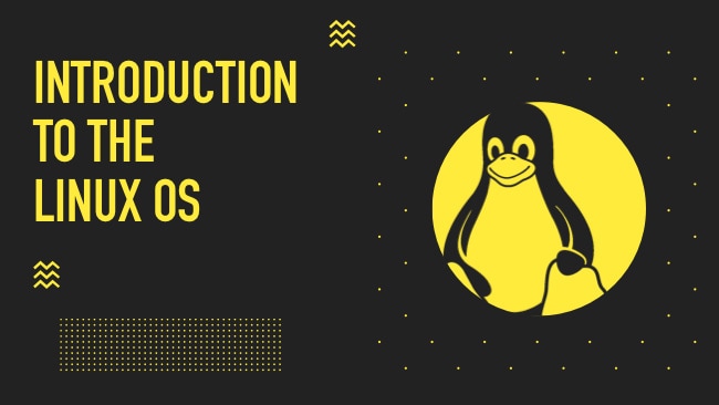 Introduction to Linux Operating System • TechLila