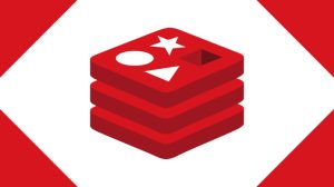 Redis Object Cache